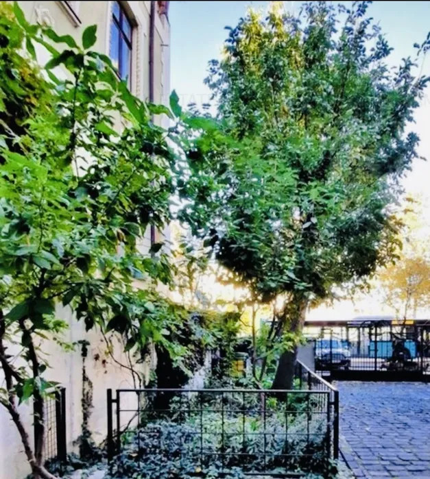 spatiu birouri 3 Camere P-ta Romana Bucuresti — fotografie 7