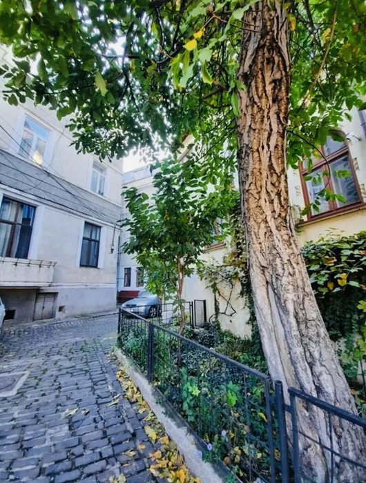 spatiu birouri 3 Camere P-ta Romana Bucuresti — fotografie 8