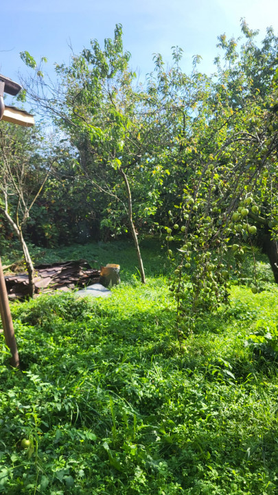 Casa de inchiriat Baia Mare Cerbului Curte Parcare Beci  — fotografie 12