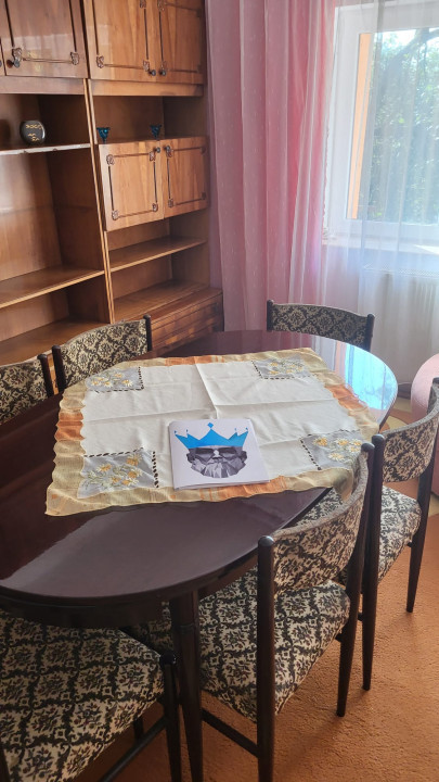 Casa de inchiriat Baia Mare Cerbului Curte Parcare Beci  — fotografie 8