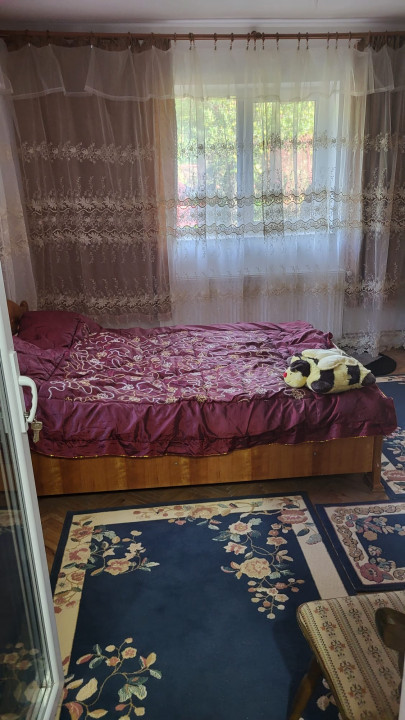 Casa de inchiriat Baia Mare Cerbului Curte Parcare Beci  — fotografie 15