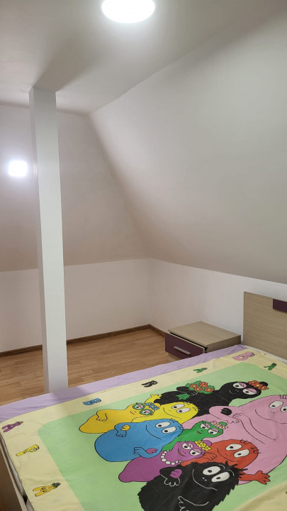 Casa de inchiriat Baia Mare Cerbului Curte Parcare Beci  — fotografie 9