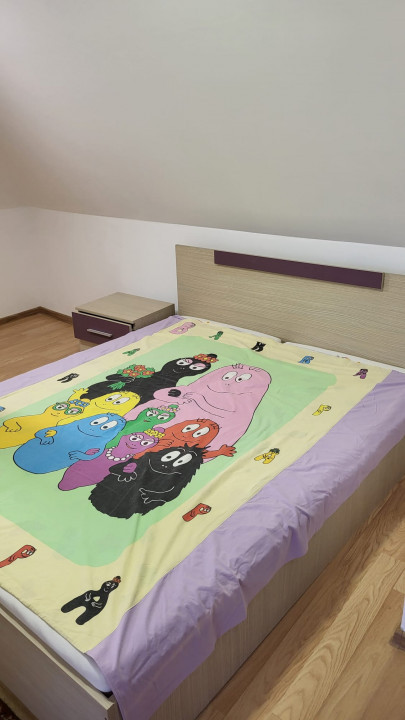 Casa de inchiriat Baia Mare Cerbului Curte Parcare Beci  — fotografie 10